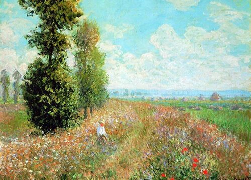 白髪染めとオシャレ染めの違い